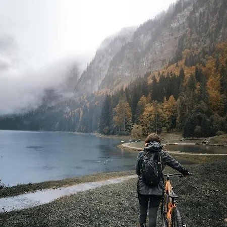Propriete Bel Air Daire Montriond